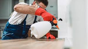 Best Residential Pest Control  in Belfast, ME